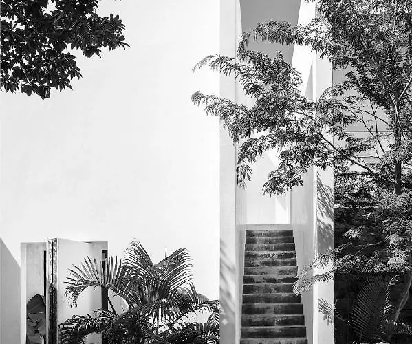 In La Veleta For 16 Guests Tulum