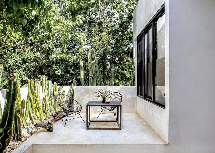 In La Veleta For 16 Guests Hébergement de vacances Tulum